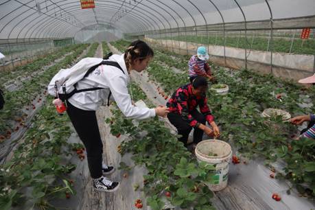 太阳集团tyc122cc